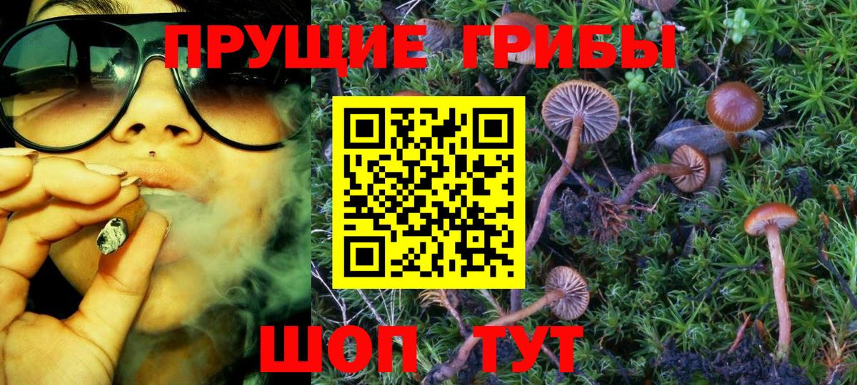 Галлюциногенные грибы прущие грибы Мценск
